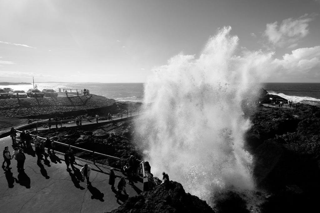 Kiama Shores Exteriér fotografie